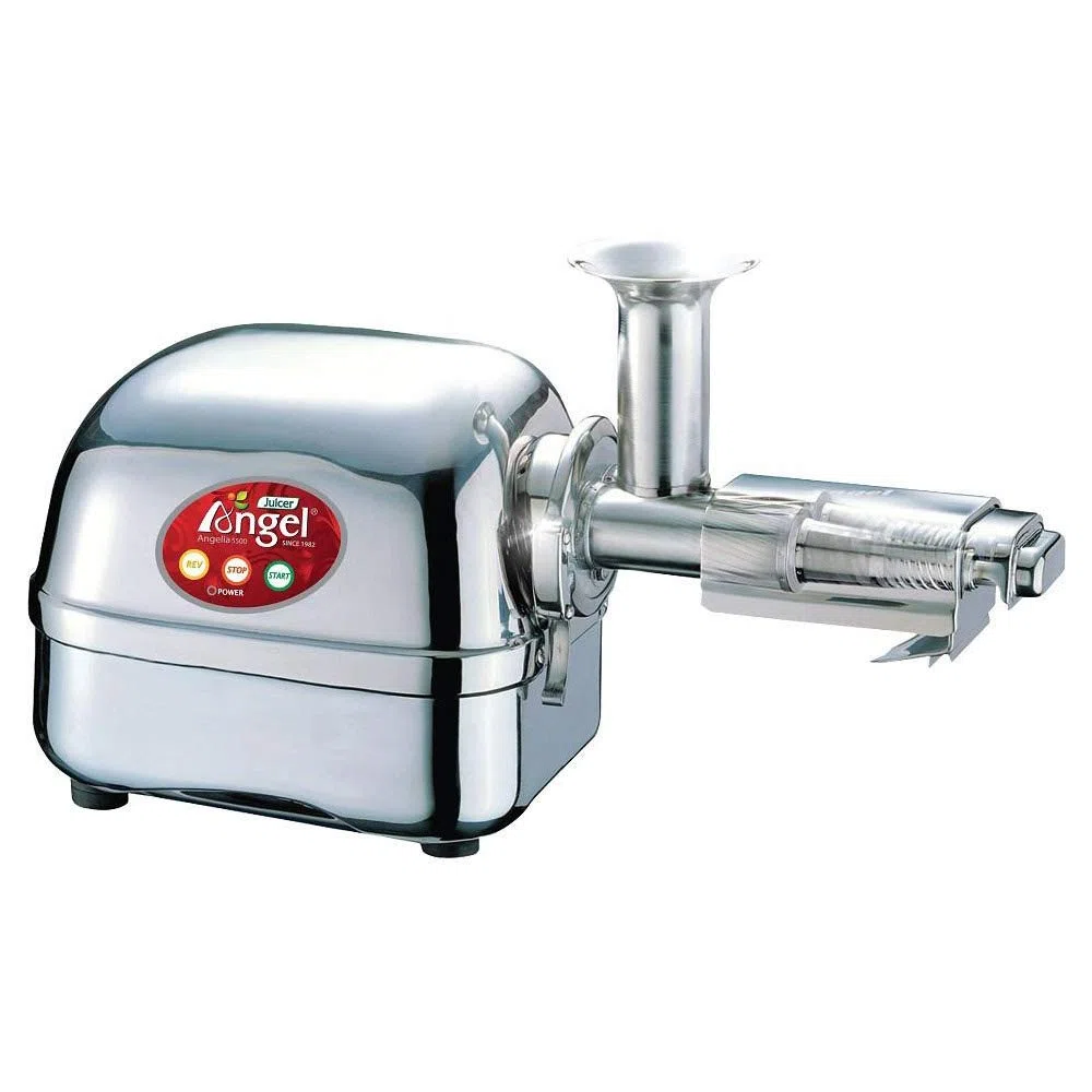 Extracteur de Jus Horizontal Angel 5500 Acier Inoxydable 3 Chevaux Qualité Professionnelle Argent