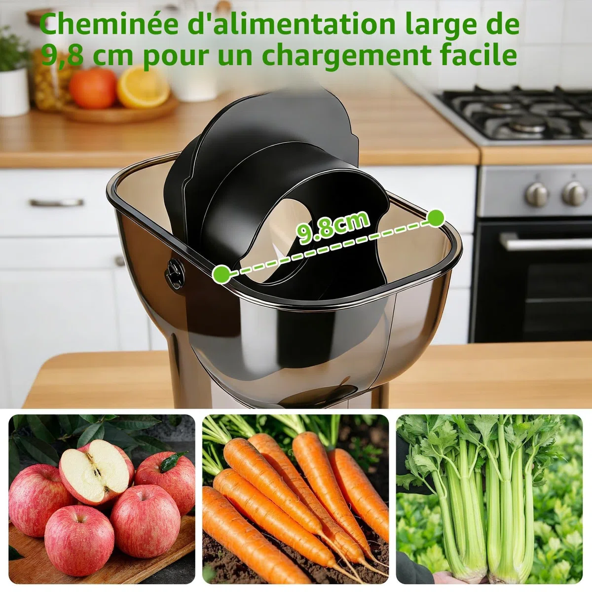 Extracteur de jus 500W, Fruits et Légumes, Fonction Inverse, Grande Ouverture 98mm, Slow Juicer, Taux d'extraction 98%, 2 Récipients, Sans BPA