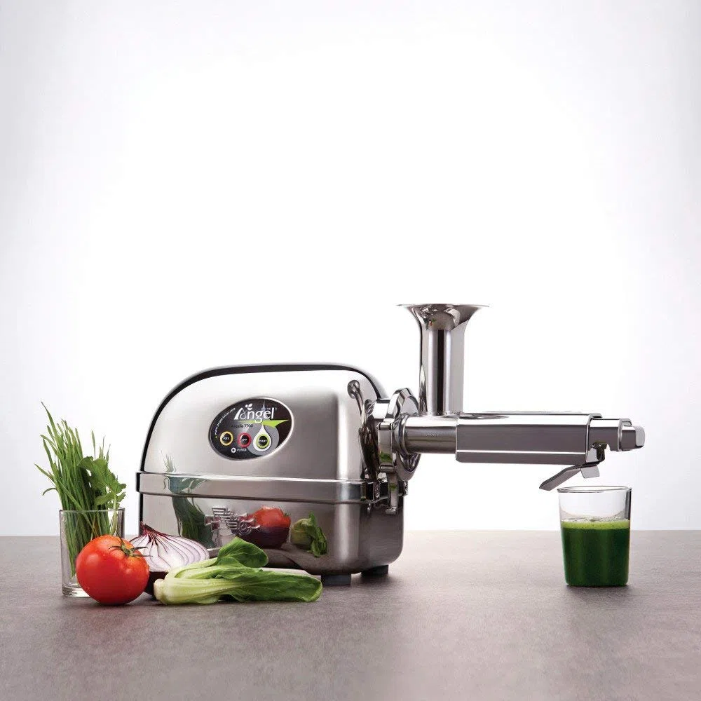 Extracteur de Jus Horizontal Angel 5500 Acier Inoxydable 3 Chevaux Qualité Professionnelle Argent