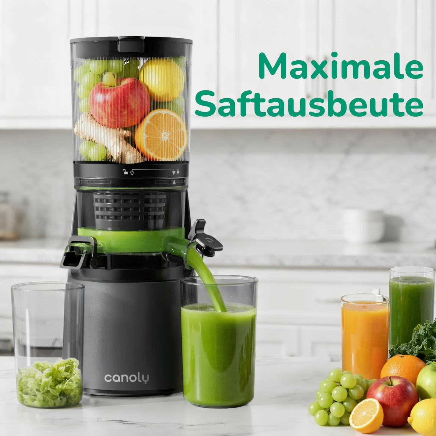 Canoly Extracteur de Jus 150 mm 3-en-1 Moteur AC Sans BPA Gris Mat