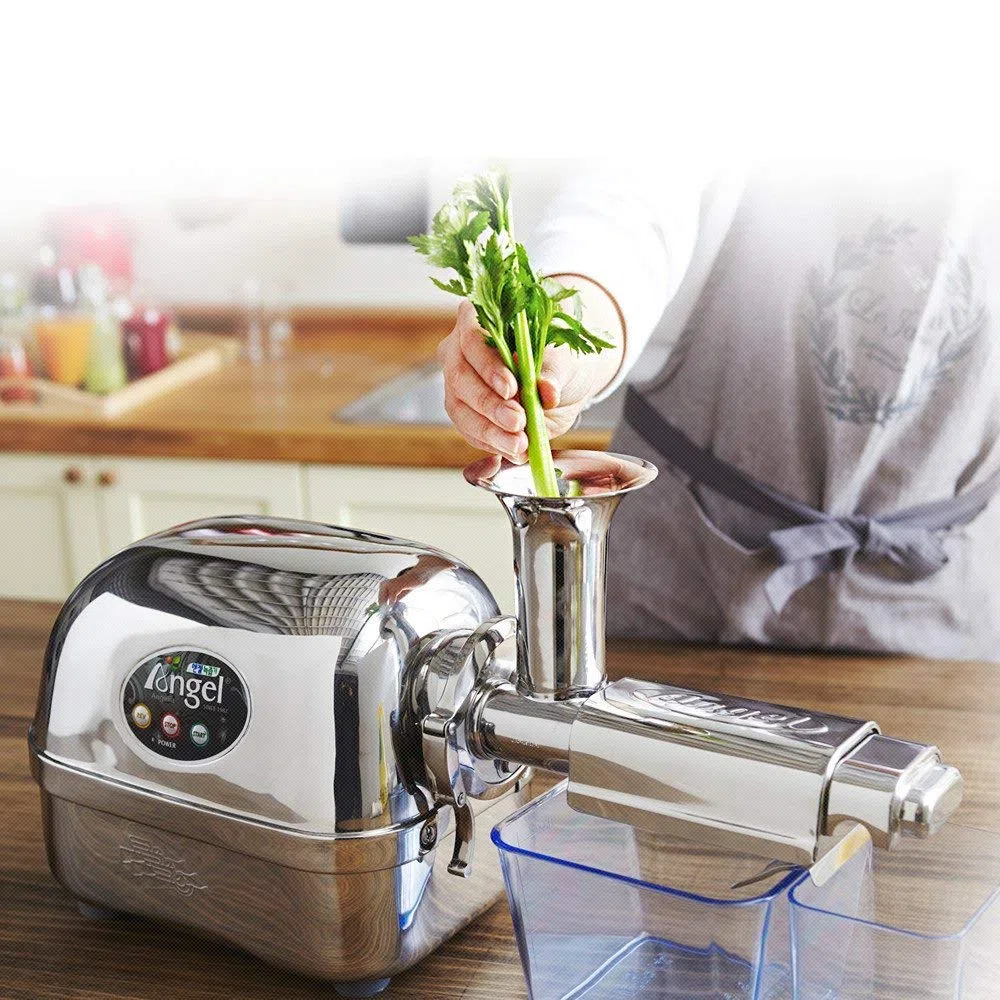Extracteur de Jus Horizontal Angel 5500 Acier Inoxydable 3 Chevaux Qualité Professionnelle Argent