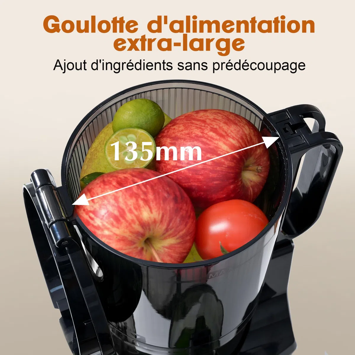 Fretta Extracteur de Jus à Mastication Lente, Grande Goulotte 135mm, Presse-agrumes Automatique 250W, Sans BPA