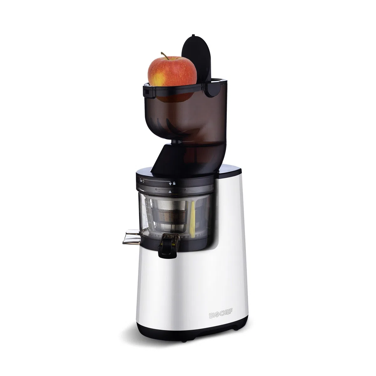 BioChef Atlas Whole Slow Juicer Argent Extracteur de Jus