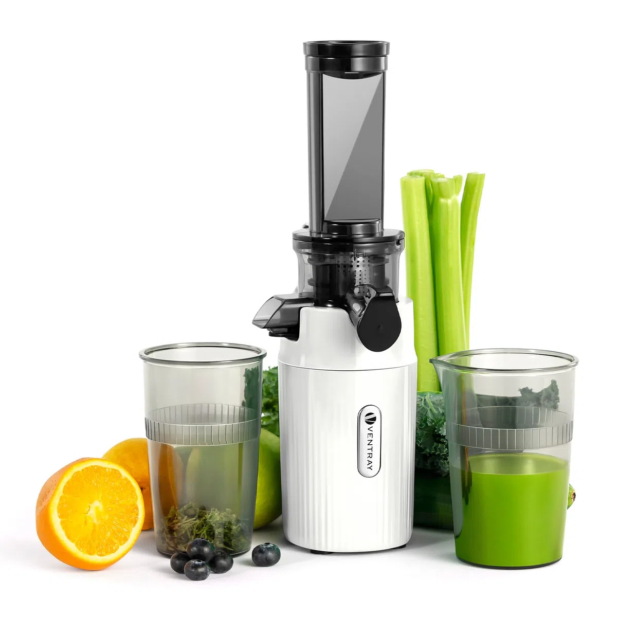 Ventray Ginnie Extracteur de Jus - Slow Juicer Pression Douce 60 Tours, Presse à froid, Sans BPA, Blanc