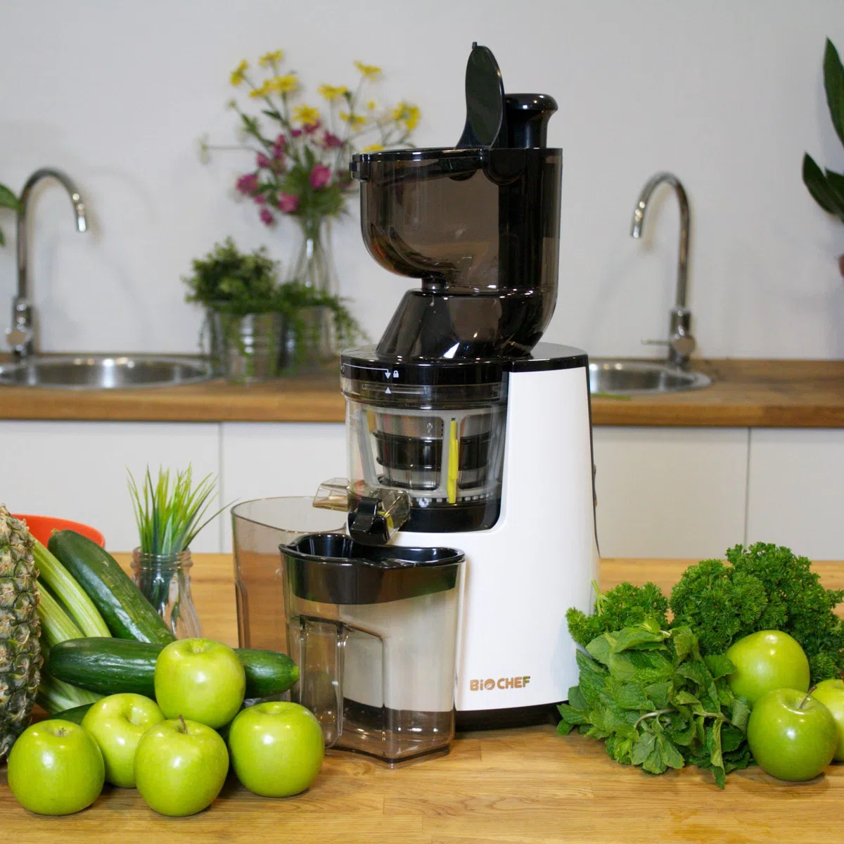 BioChef Atlas Whole Slow Juicer Argent Extracteur de Jus