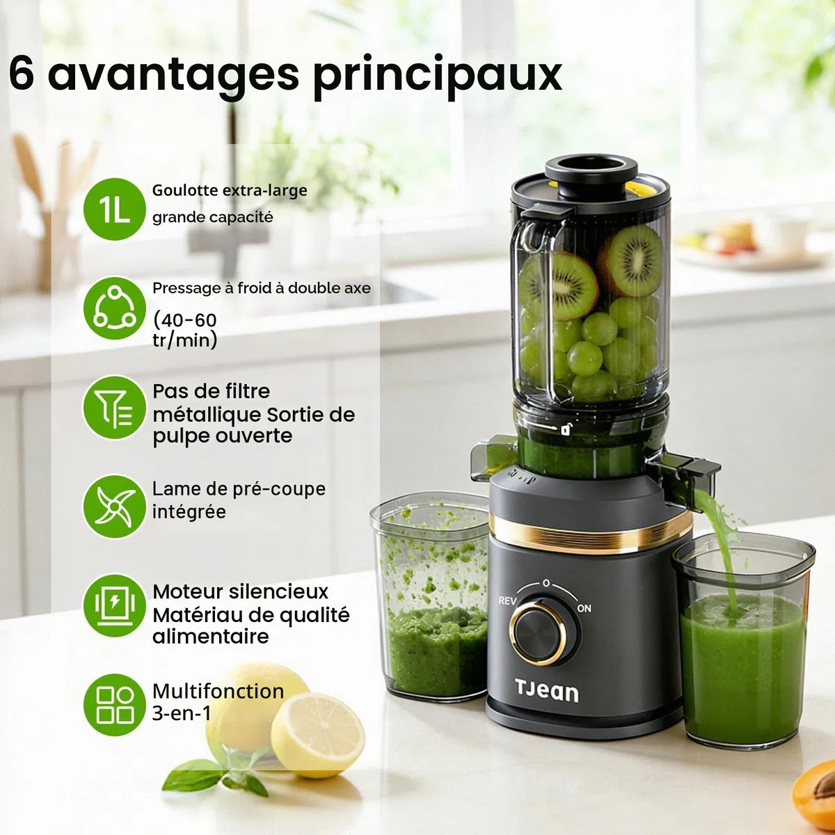 Extracteur de jus à froid lent TJean 110 mm pour fruits et légumes entiers, haut rendement, faible consommation d'énergie