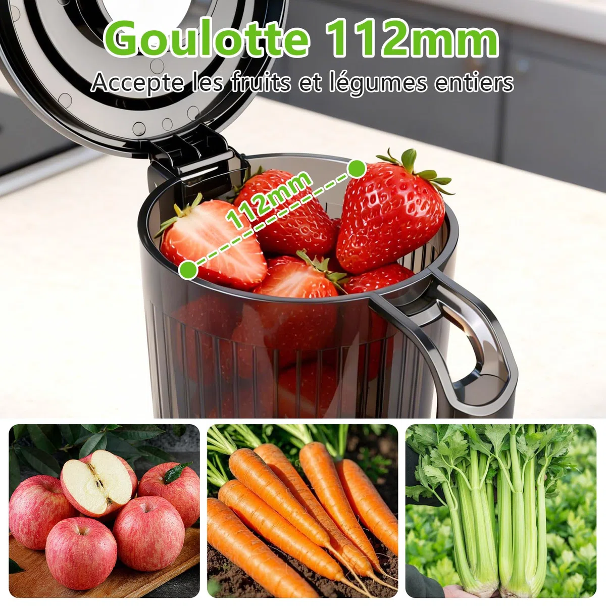 Extracteur de jus 200W, Slow Juicer 112mm, 1.7L, 2 récipients, Sans BPA, Noir